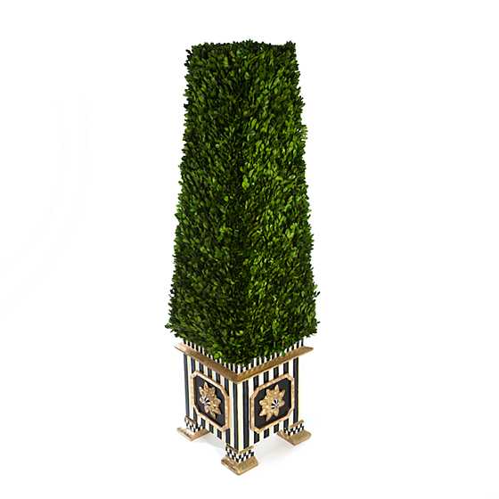 Boxwood Obelisk – Extra Large