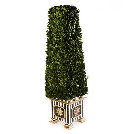 Boxwood Obelisk – Large