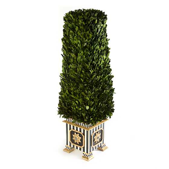 Boxwood Obelisk – Medium