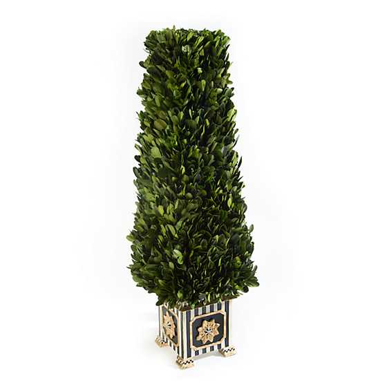 Boxwood Obelisk – Small