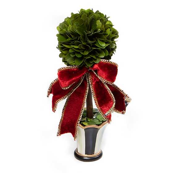 Christmas Magic Boxwood Topiary – Mini