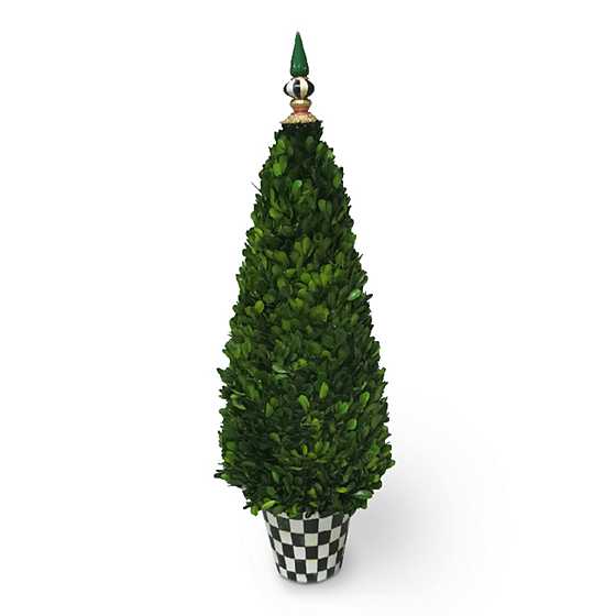 Christmas Magic Boxwood Topiary