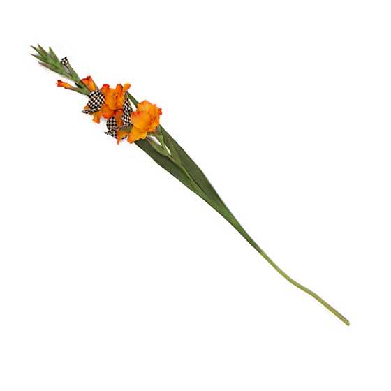 Courtly Check Gladiolus – Orange