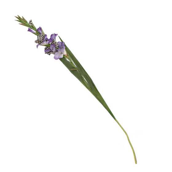 Courtly Check Gladiolus – Purple