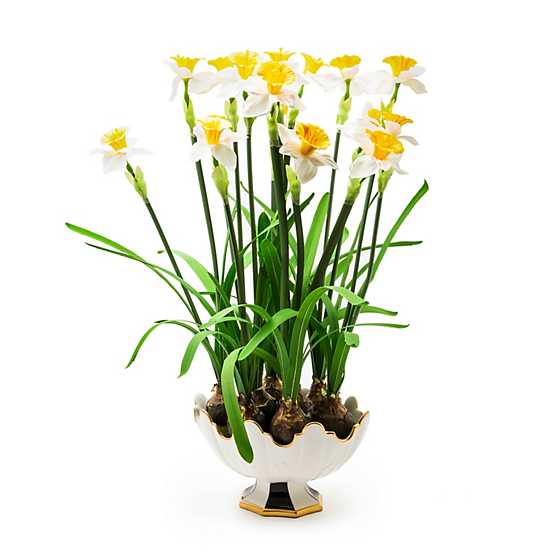 Daffodil Centerpiece