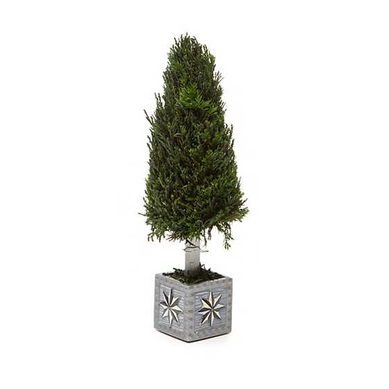 Farmhouse Cypress Tree – Small