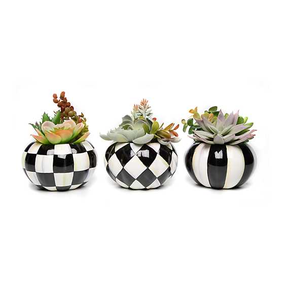 Hen & Chicks Pumpkin – Set of 3