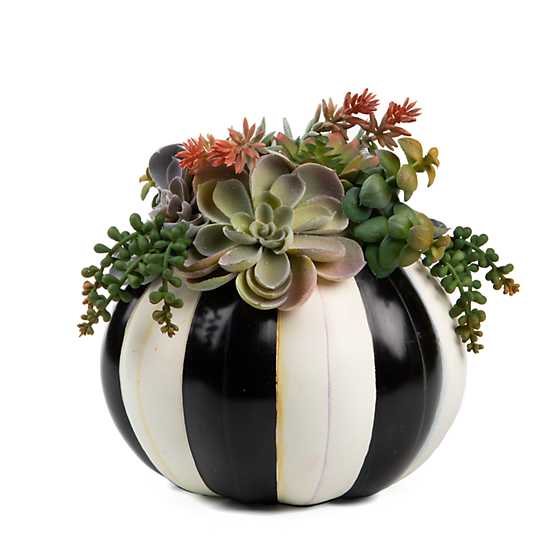 Hen & Chicks Pumpkin