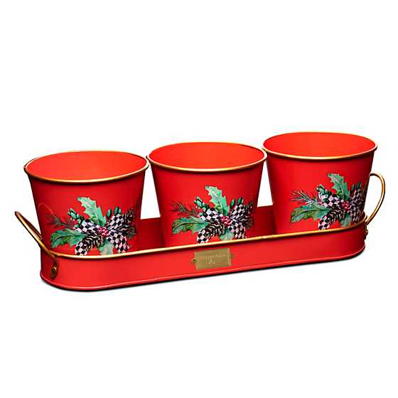 Holly Holiday Herb Pots – Set of 3