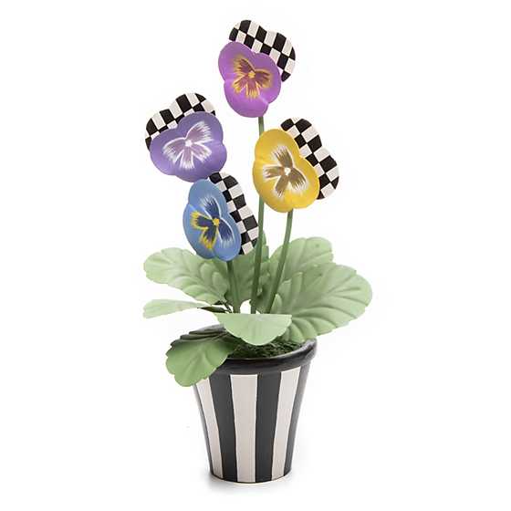 Pansy Pot