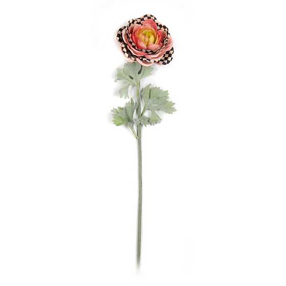 Ranunculus Stem – Peach