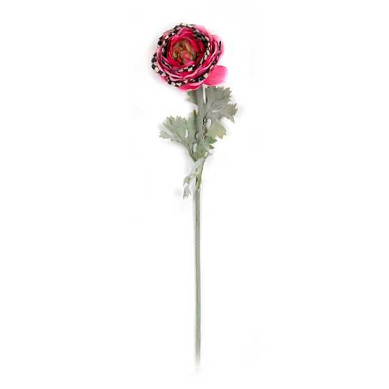 Ranunculus Stem – Pink