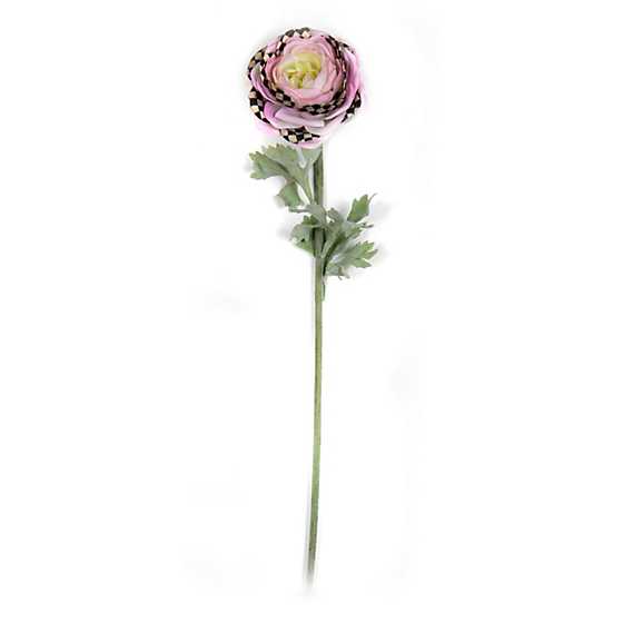 Ranunculus Stem – Purple