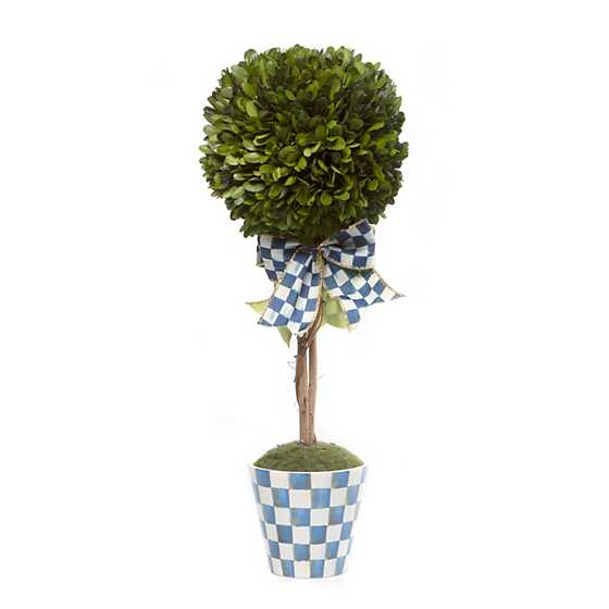 Royal Boxwood Topiary Drop In – Small