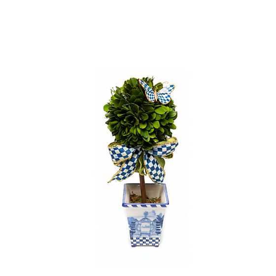 Royal Boxwood Topiary – Mini