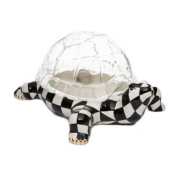 Turtle Terrarium